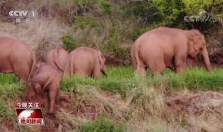 西双版纳旅行团 西双版纳旅行团