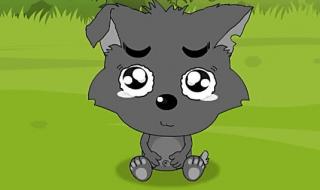 喜羊羊小灰灰上学记 喜羊羊小灰灰上学记