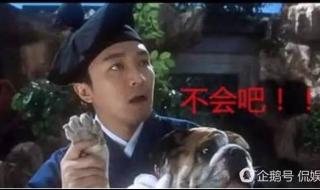 9527为您服务 9527为您服务