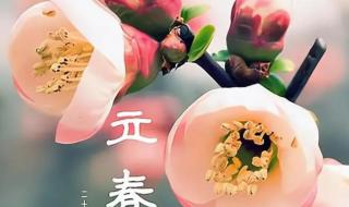 2024立春图片 2024立春图片