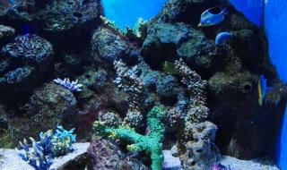 大连有什么好玩的地方 大连有什么好玩的地方