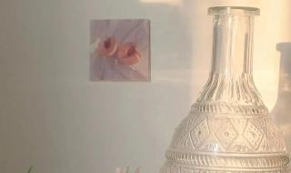 三月文案短句干净治愈 三月文案短句干净治愈