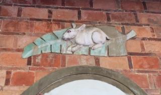 世界上最漂亮的兔子 世界上最漂亮的兔子