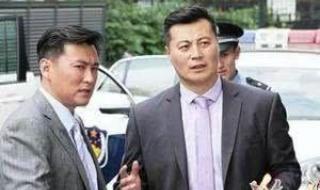 最新反腐倡廉电视剧