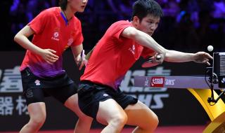 许昕刘诗雯什么关系 许昕刘诗雯什么关系